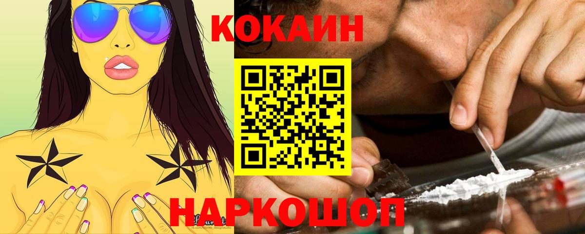 Cocaine Fish Scale  Cocaine Fish Scale  Вход с VPN  Сегежа 