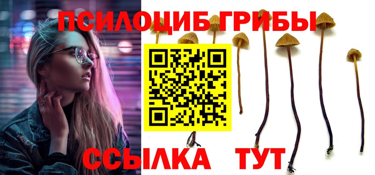 Галлюциногенные грибы Psilocybine cubensis  Вход с VPN  Сегежа 